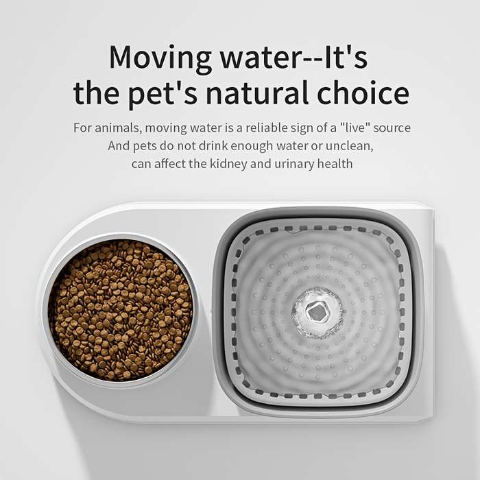 Pet Supplies Color White Border Capacity 3L