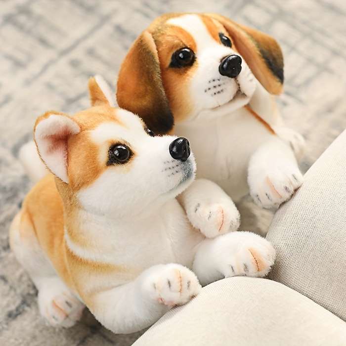 Toy Doll Style Akita
