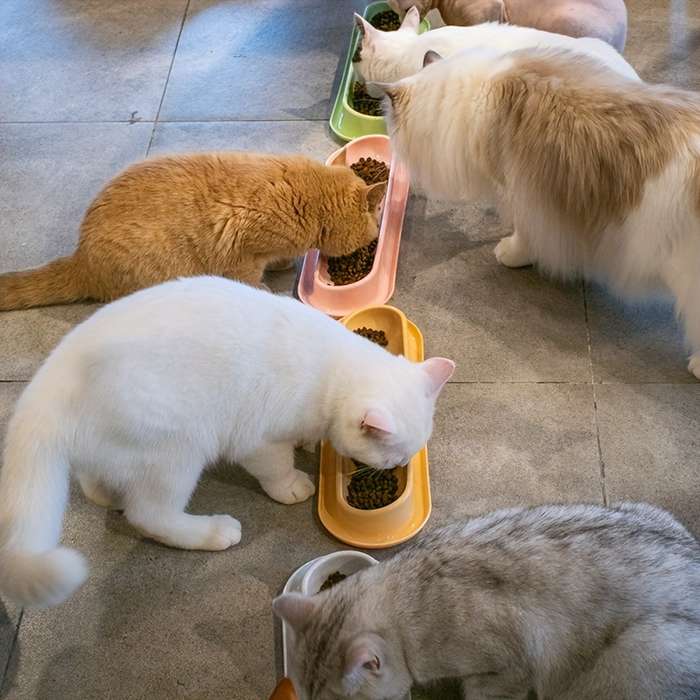 Pet Supplies Color Yellow