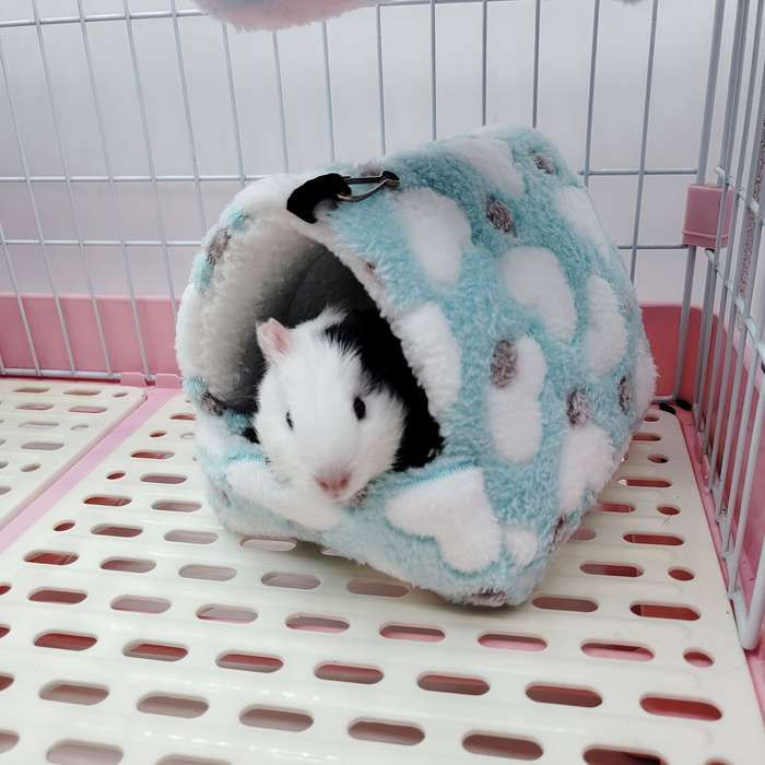 Pet supplies size M