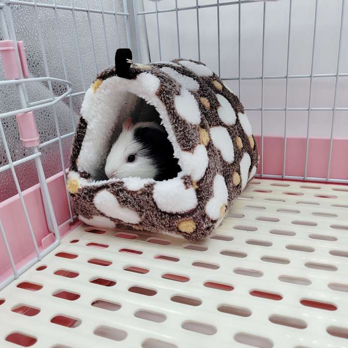 Pet supplies size M