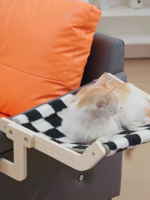 Pet supplies color Gray Orange Double Stitching