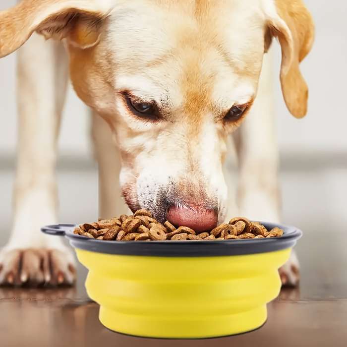Pet supplies Quantity 6Pack