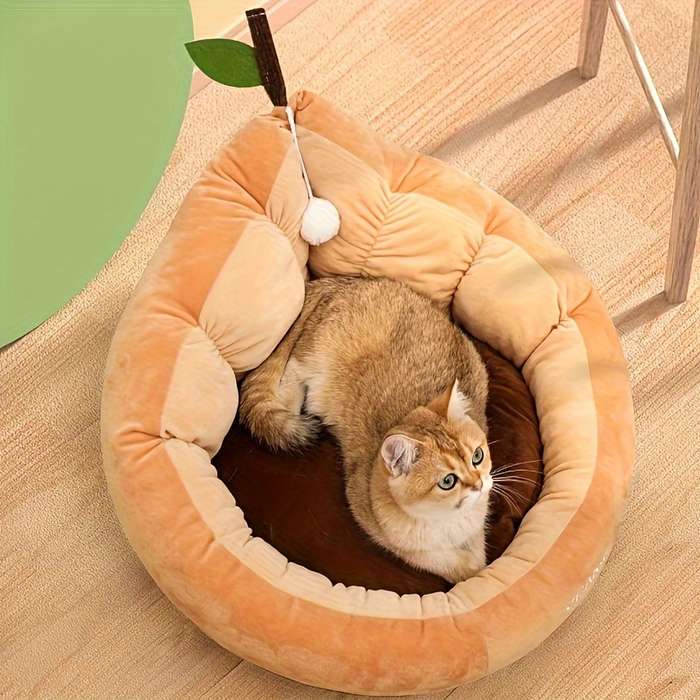 Pet supplies color Green size M