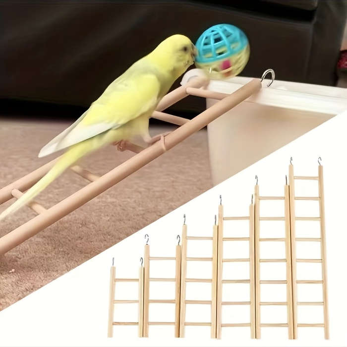 Pet supplies Model 4 Ladders