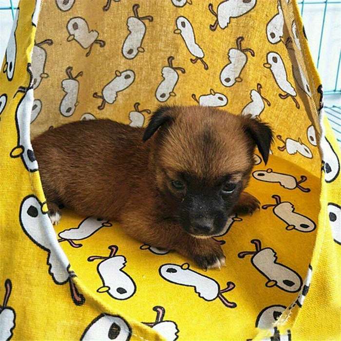 Pet supplies size 34x 34x 44 Items 2