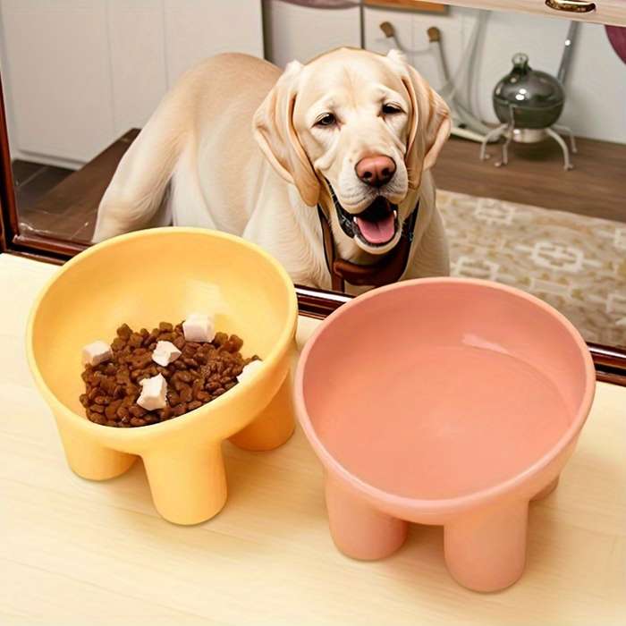 Pet Supplies Color Assorted Varieties Quantity 4 Piece Set