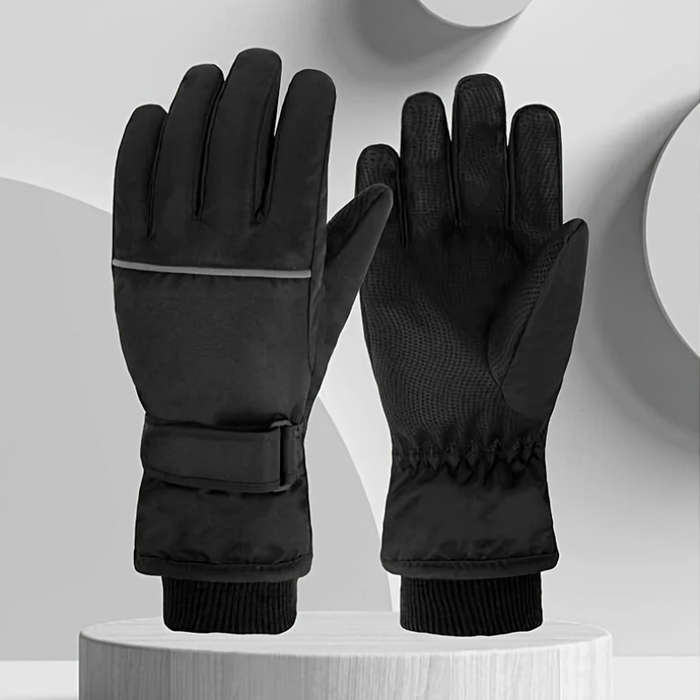 Winter Gloves Color Grey