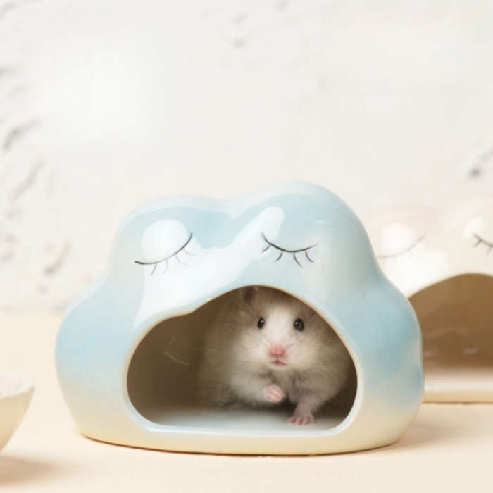 Pet Supplies Quantity 2Pcs