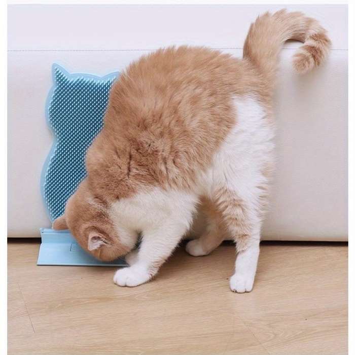 Pet Supplies Color Blue