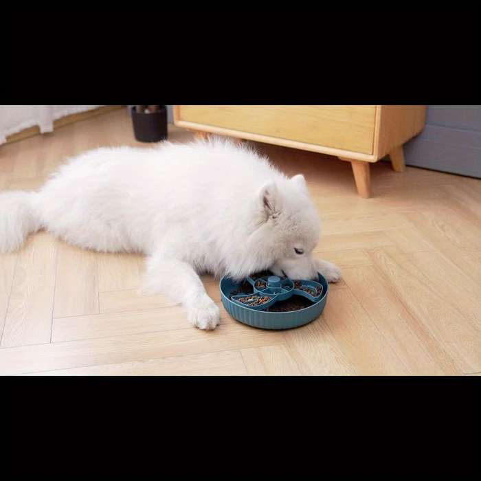 Pet Supplies Color Blue