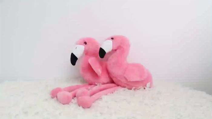 Toy Dolls color Pink Flamingo