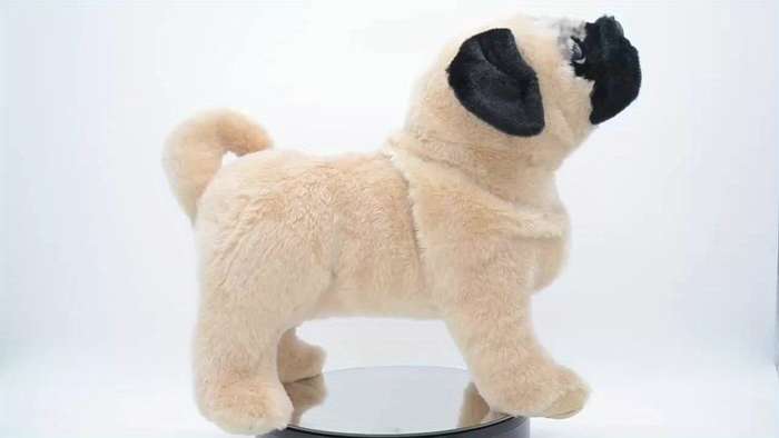 Toy Doll Model Pug Dog