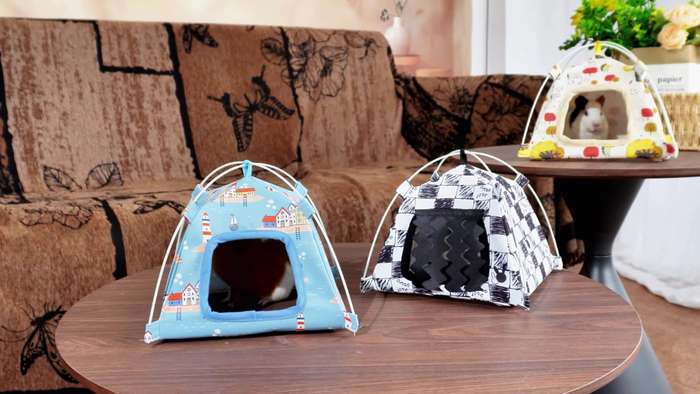 Pet supplies color Blue
