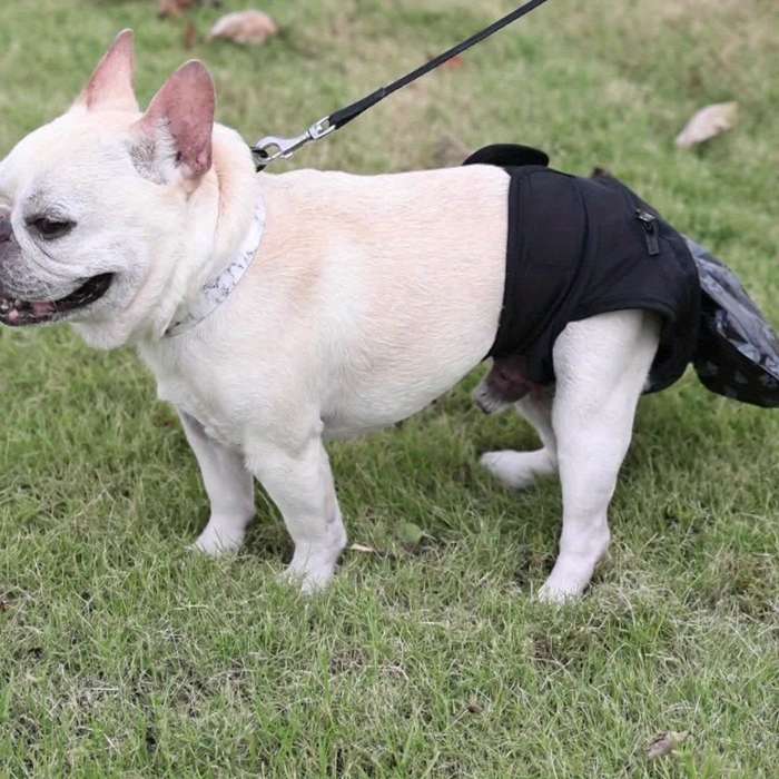Pet supplies color Black size XL