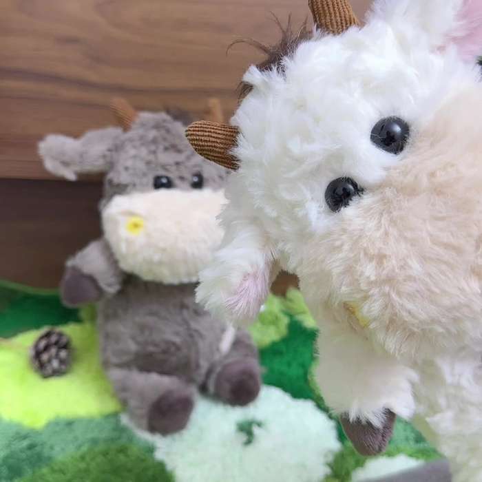 Toy Dolls color White