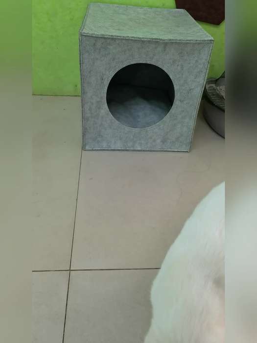 Pet supplies color grey