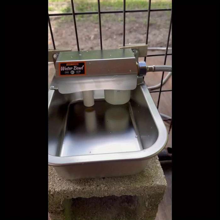 Pet Supplies Size Small