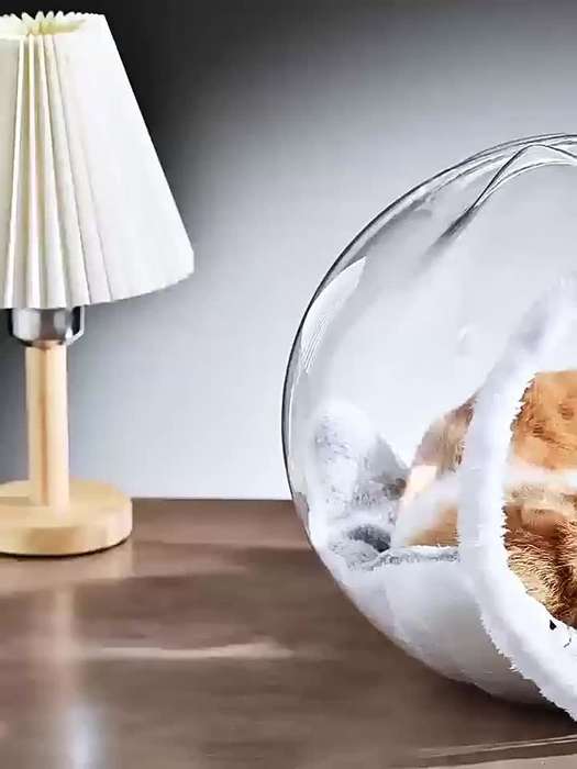 Pet Supplies Color Ornamental Transparent Cat Ears Cat Bed  New Product