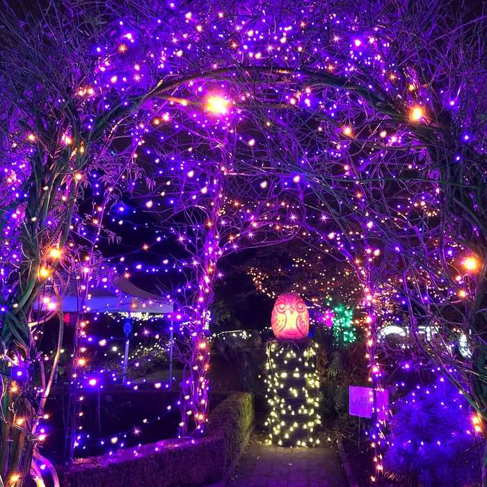 Halloween Decorations Size 39Ft 100Led