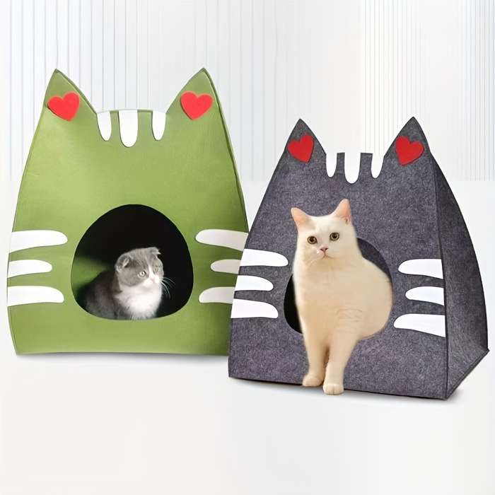 Pet supplies color Orange size Small Size