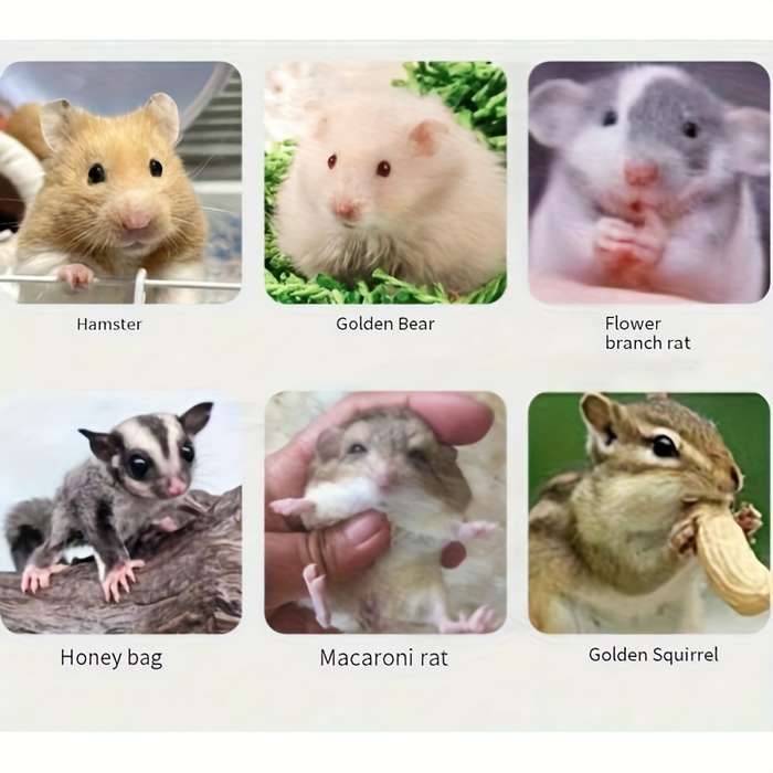 Pet supplies color Yellow