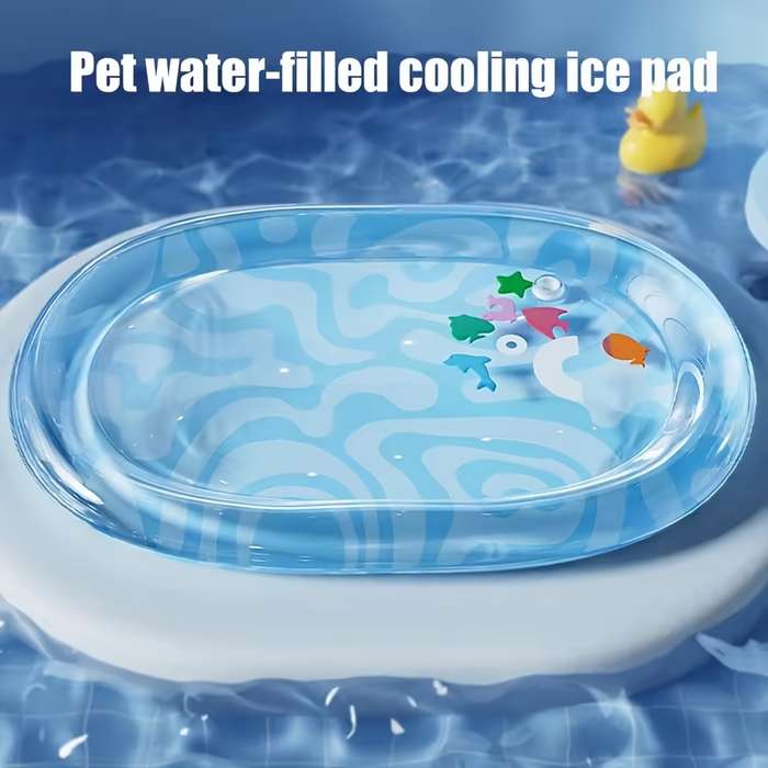 Pet supplies color Blue Ocean size L 61x78