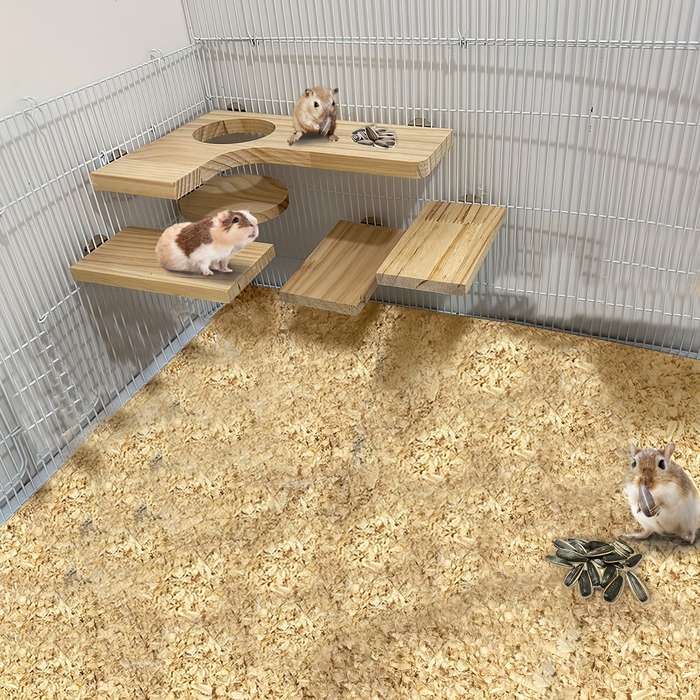 Pet Supplies Color 5 Piece Set