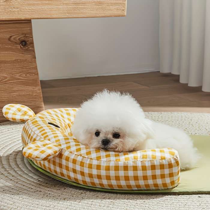 Pet supplies color Yellow size M