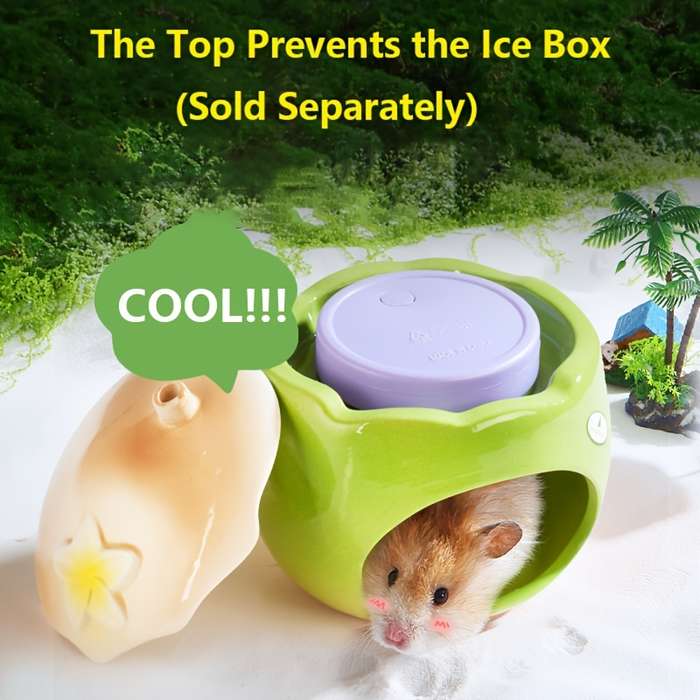 Pet Supplies Color Brown