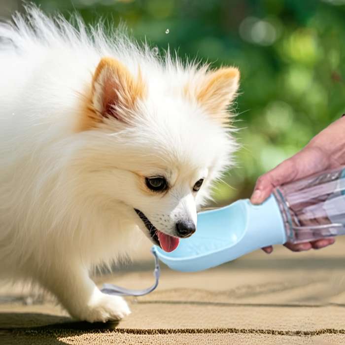 Pet Supplies Color Pink