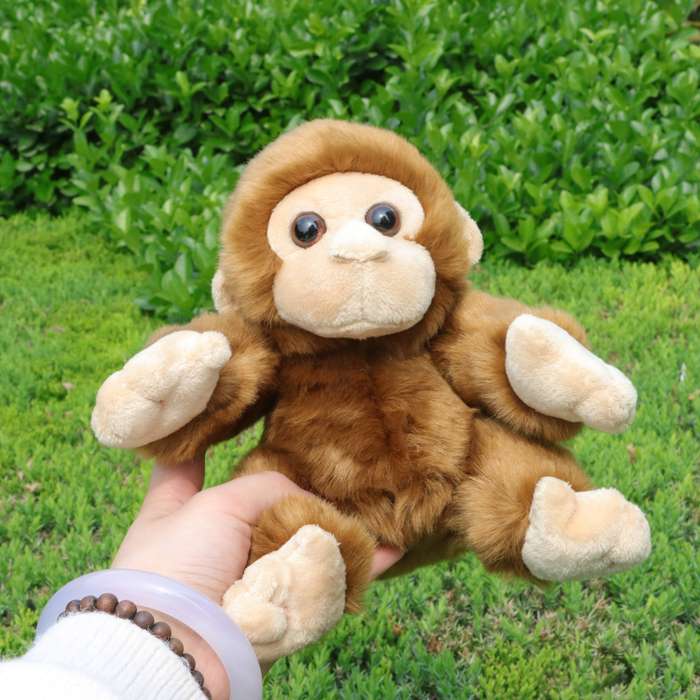 Toy Dolls color Brown