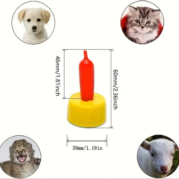 Pet Supplies Quantity 9 Pcs  Set