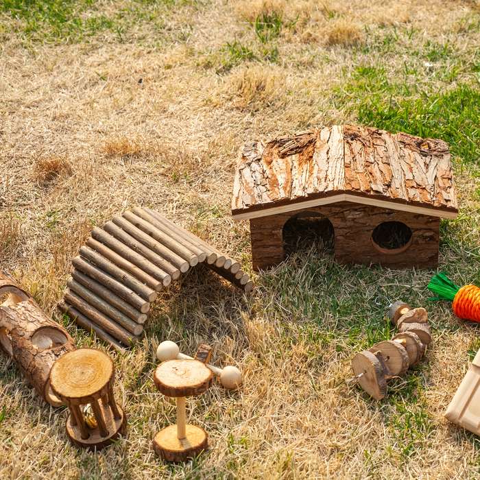 Pet supplies Model 8pcs Set