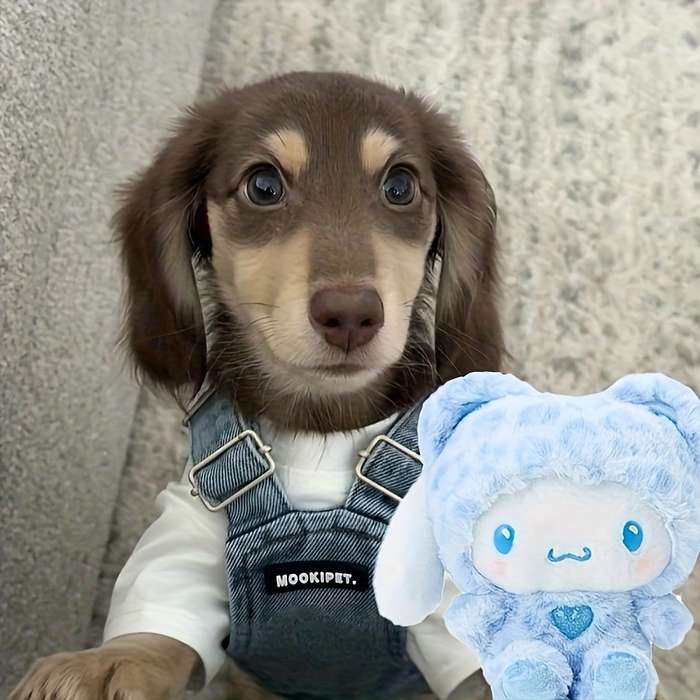 Toy Dolls Items Cinnamoroll