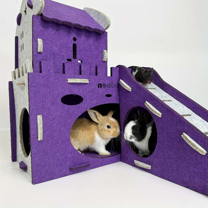 Pet Supplies Color Purple