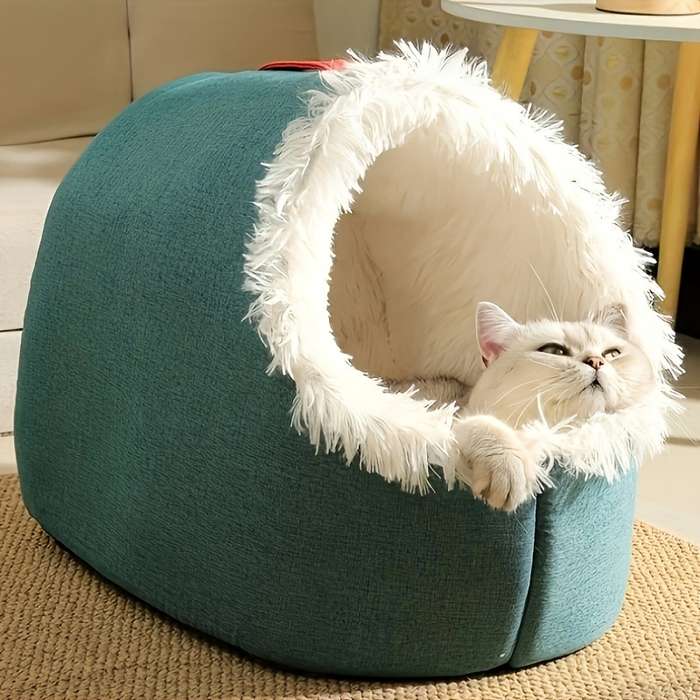 Pet supplies color Red size L