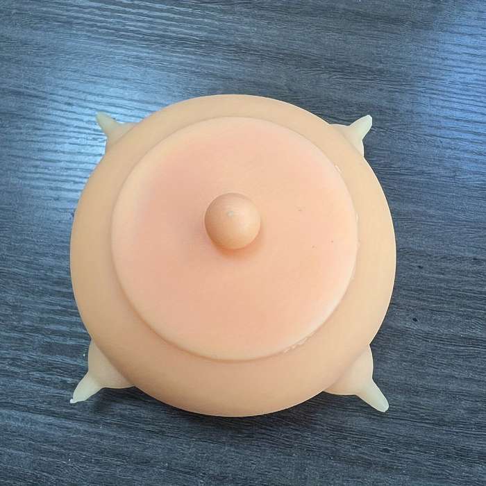 Pet Supplies Style Feeder