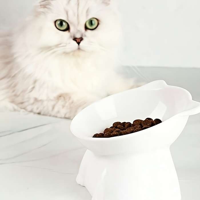 Pet Supplies Color 1Pc  Grey