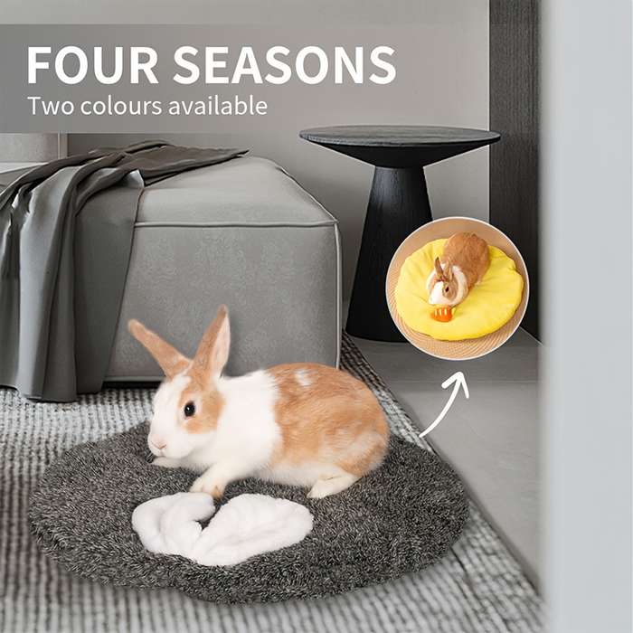 Pet supplies color Yellow    green Carrot