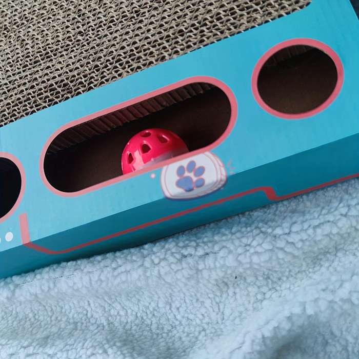 Pet Supplies Color Blue