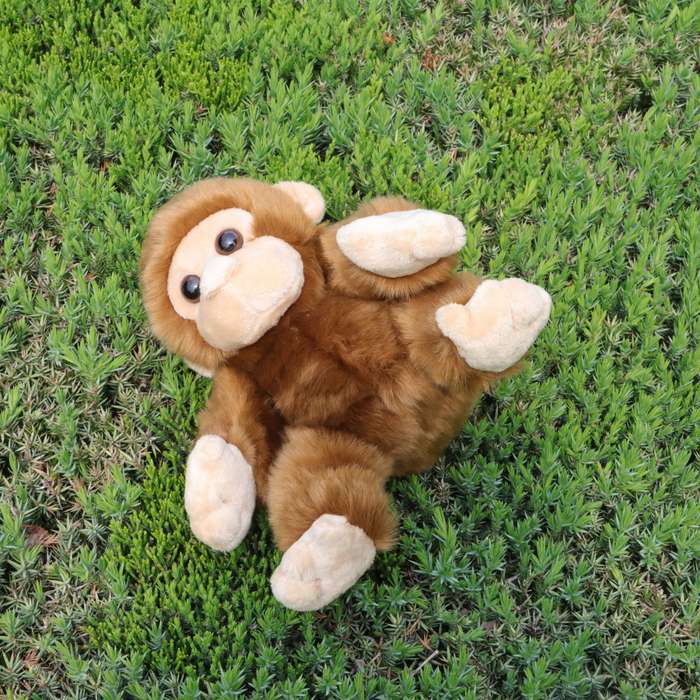 Toy Dolls color Brown
