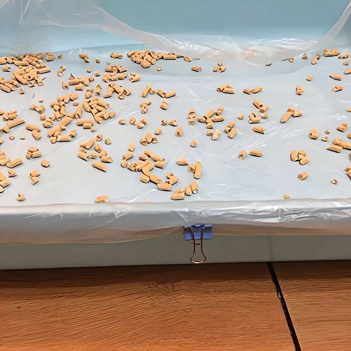 Pet Supplies Quantity 100 Pieces