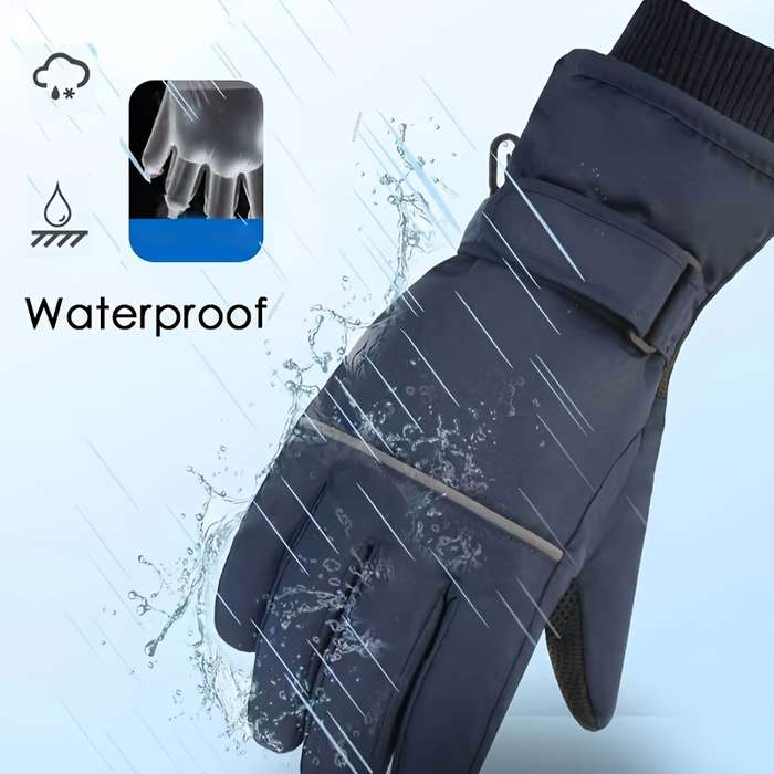 Winter Gloves Color Grey