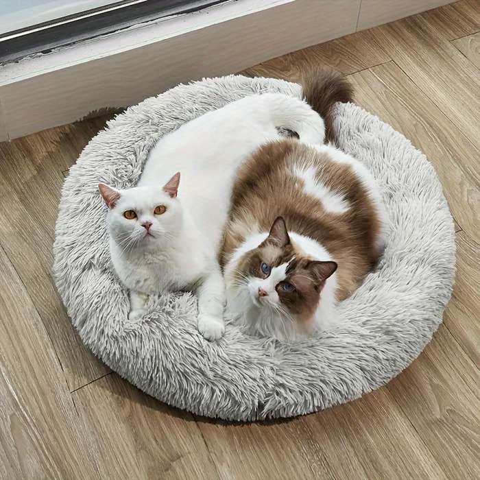 Pet supplies color Pink size 1