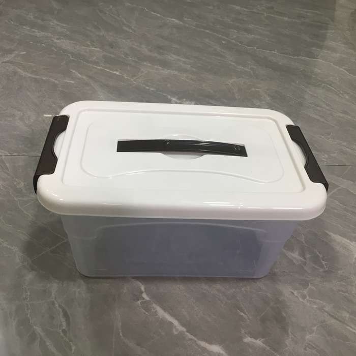 Storage And Organizationcolor Transparent White Style  With Handle And No Wheels