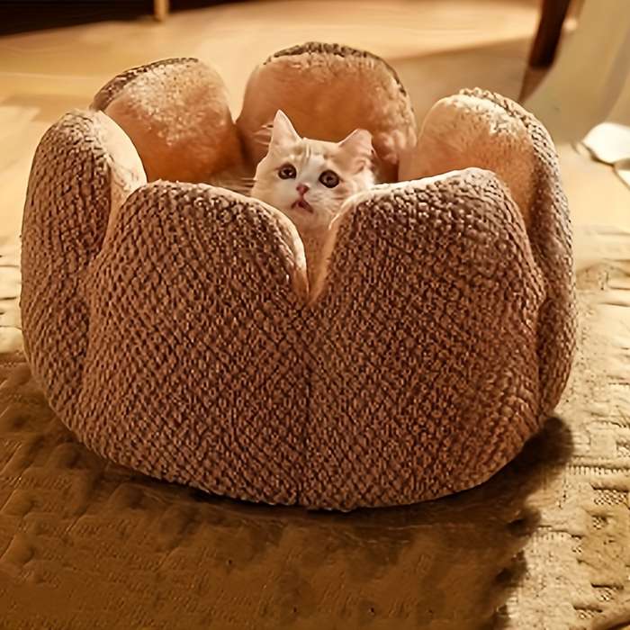 Pet supplies color Gray size L 60cm
