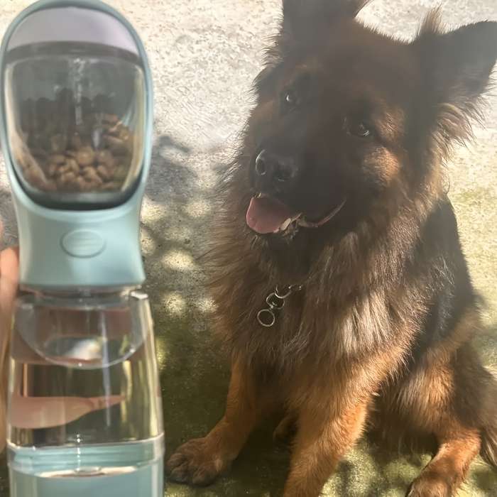 Pet Supplies Color Pink