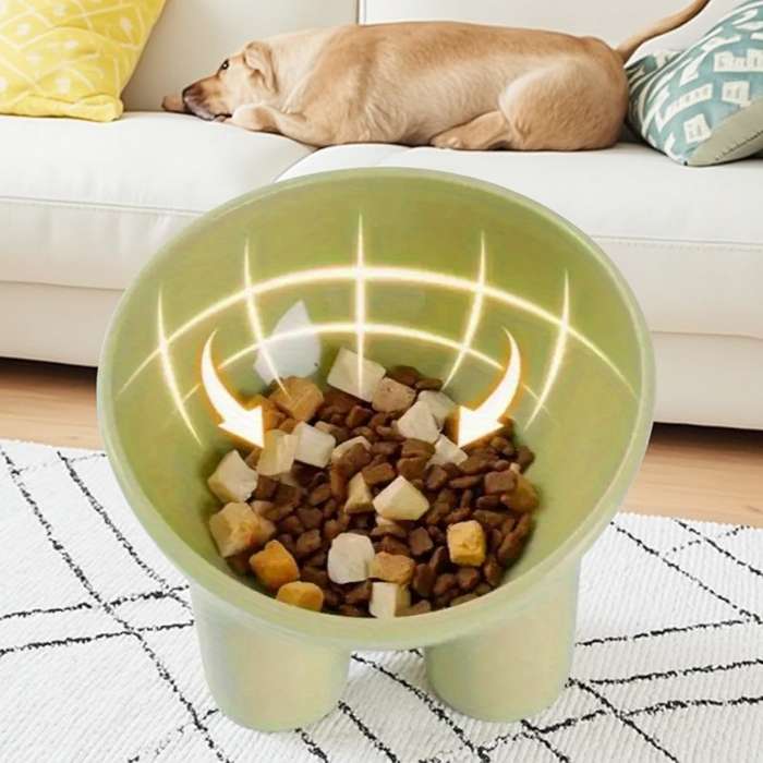 Pet Supplies Color Assorted Varieties Quantity 4 Piece Set