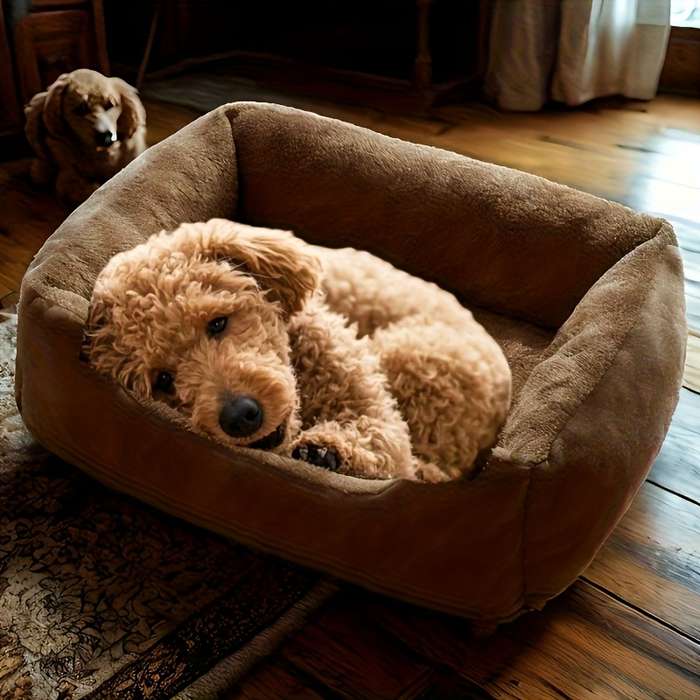 Pet supplies color Gray